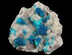 Vibrant Blue Cavansite Clusters on Stilbite - India #64806-2